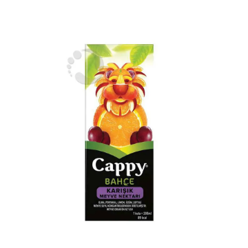 Cappy Meyve Suyu Karışık 200 ml resmi